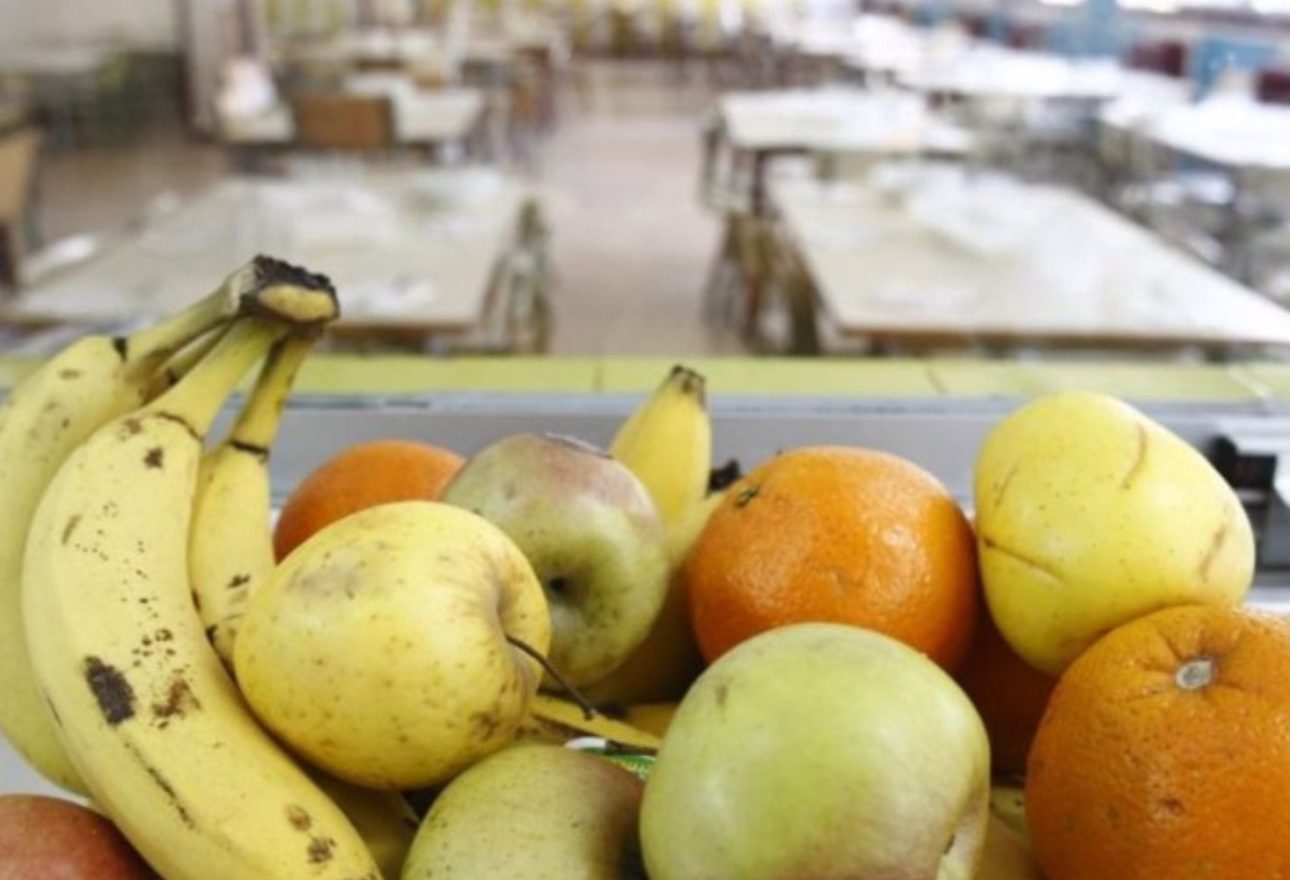 exportaciones-frutas-hortalizas