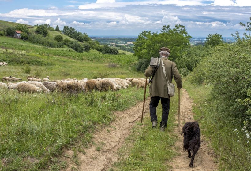 marco financiero europeo agricultura