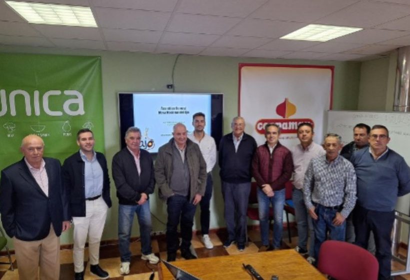 aranceles-estados-unidos-ajo-espanol