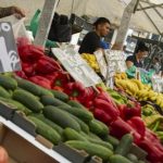 produccion-ecologica-espanola-exportaciones-liderazgo