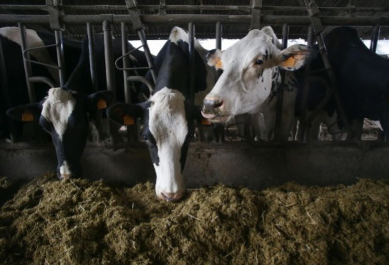 cooperativas-rechazo-acuerdo-comercial-ue-australia-carne-vino