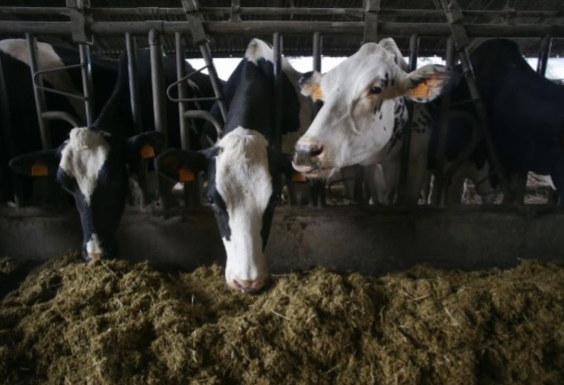 cooperativas-rechazo-acuerdo-comercial-ue-australia-carne-vino