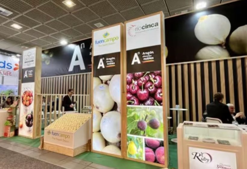 espana-liderazgo-exportaciones-hortofruticolas-fruit-logistica-berlin