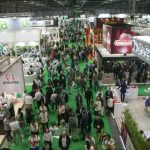 ayudas-participacion-agrupada-fruit-attraction-2026-clm